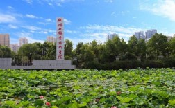 湖北大學(xué)職業(yè)技術(shù)學(xué)院