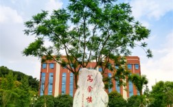 四川專科學院(四川十大最好的職業(yè)學校)