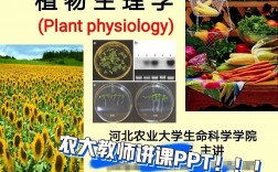 植物學考研就業前景(植物學考研有哪些科目)