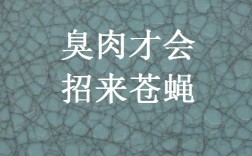 臭肉來蠅是什么意思_近義詞_來源