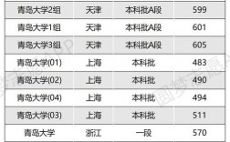青島大學是啥檔次