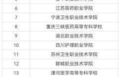 2024年護理專業大專學校排名