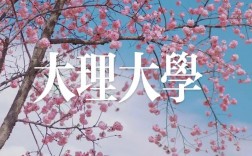 大理大學(xué)研究生官網(wǎng)yjsc.dali.edu.cn