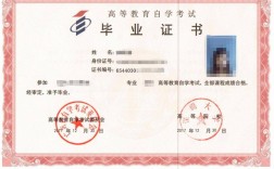 大專學歷怎么自考(學歷提升報名入口官網)