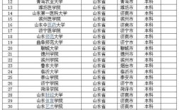山東大學(xué)是幾本(是985還是211大學(xué))