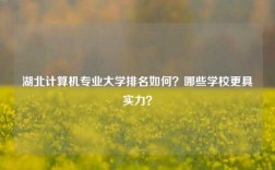 湖北計算機專業大學排名如何？哪些學校更具實力？