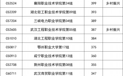 湖北技能高考多少分上大專