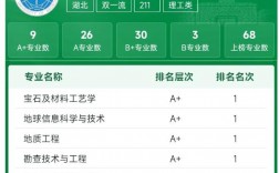 中國地質大學在211排名如何？具體情況如何？