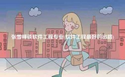 張雪峰談軟件工程專業(軟件工程最好的出路)