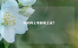 如何網(wǎng)上考取電工證？