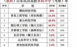 濰坊理工學院考研率