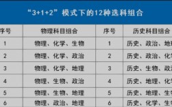 3+1+2高考最佳組合(詳解)