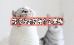 薛定諤的貓是什么意思梗