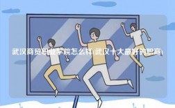武漢商貿職業學院怎么樣(武漢十大最好的職高)