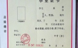 現(xiàn)在高中文憑能干啥