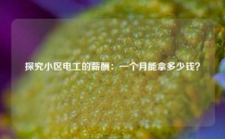 探究小區(qū)電工的薪酬：一個月能拿多少錢？