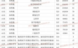 濱州醫(yī)學院2024錄取分數(shù)線