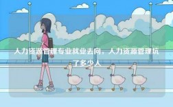 人力資源管理專業就業去向，人力資源管理坑了多少人