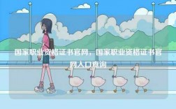 國(guó)家職業(yè)資格證書官網(wǎng)，國(guó)家職業(yè)資格證書官網(wǎng)入口查詢