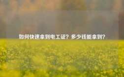 如何快速拿到電工證？多少錢能拿到？