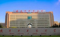 陜西中醫(yī)藥大學(xué)是幾本(大學(xué)全國排名)