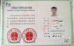 系統集成項目管理師是干嘛的