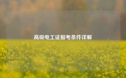 高級電工證報考條件詳解