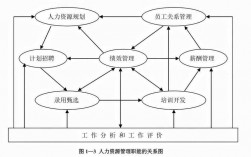 人力資源管理的職能有哪些(人力資源管理數(shù)字化)