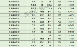 2024年武漢城市學(xué)院分?jǐn)?shù)線
