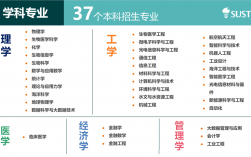 南方科技大學2024招生簡章(張雪峰談南方科技大學)