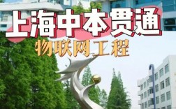 中本貫通上海有哪些學校(中本貫通屬于什么學歷)