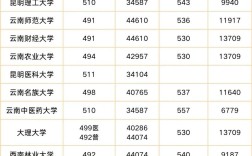 2024年哪個(gè)省的錄取分?jǐn)?shù)線最低