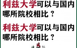 利茲大學相當于國內什么檔次？什么水平？