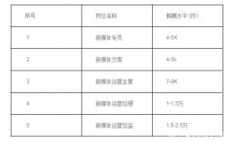 全媒體運營師薪酬(運營師是干嘛的)