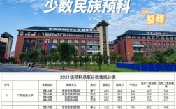 二本少數(shù)民族預(yù)科學(xué)校有哪些？具體推薦？