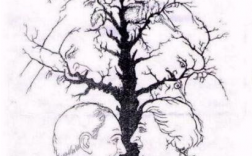 智商160才能看懂的圖片(怎么估算自己的智商)