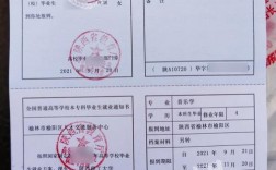 考上編制了,沒有報到證怎么辦(沒有報到證怎么存檔案)