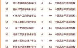 2024年職業技術學院排名前十