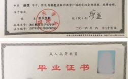 急需一個大專文憑(快速拿到大專文憑)