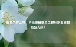 報名條件公布！初級注冊安全工程師職業資格您符合嗎？