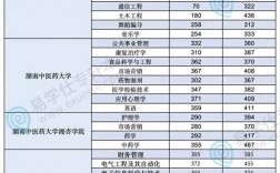 湖南2024專升本分數線