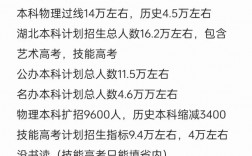 湖北2024年高考人數(shù)