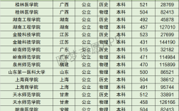 2024年金陵科技學院全國排名