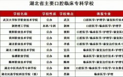 口腔醫(yī)學400分左右二本院校(300分口腔醫(yī)學能上哪所學校)