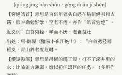 皓首窮經的解釋_近義詞_反義詞