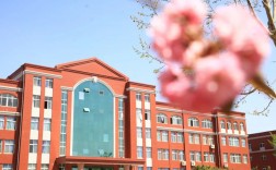 山東英才學院試點本科(山東英才單招成績查詢入口)