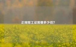 正規焊工證需要多少錢？