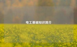 電工基礎(chǔ)知識(shí)簡(jiǎn)介