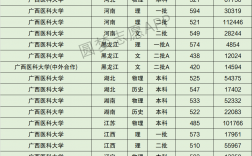 2024年廣西醫科大學全國排名
