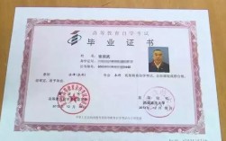 自考本科第一學歷是什么(自考本科還不如大專嗎)